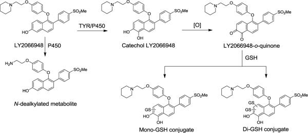 Scheme 3