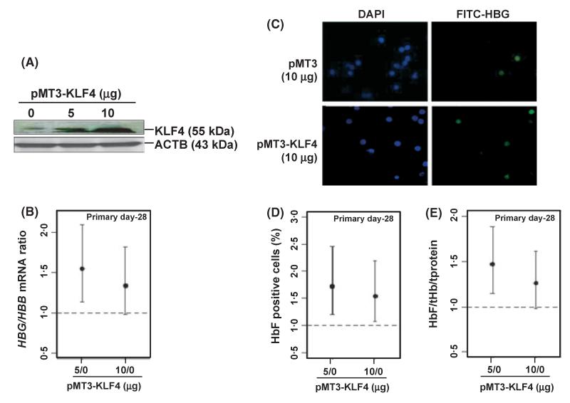 Fig 4