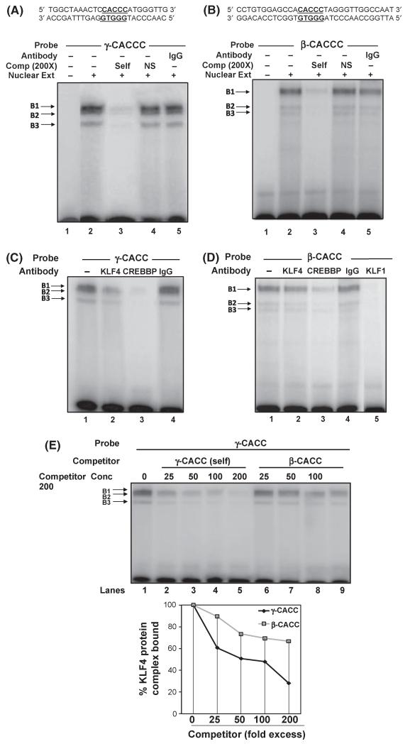 Fig 5