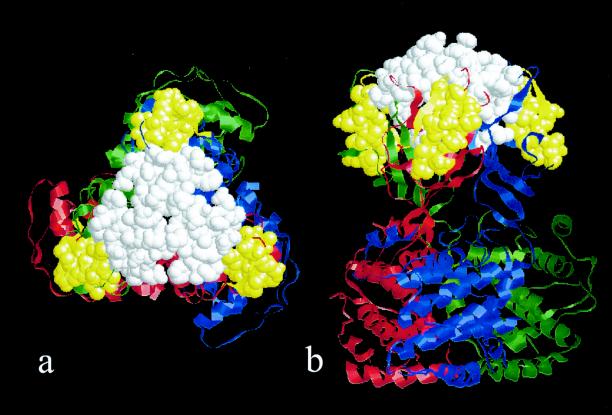 FIG. 4.