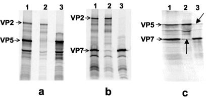 FIG. 5.