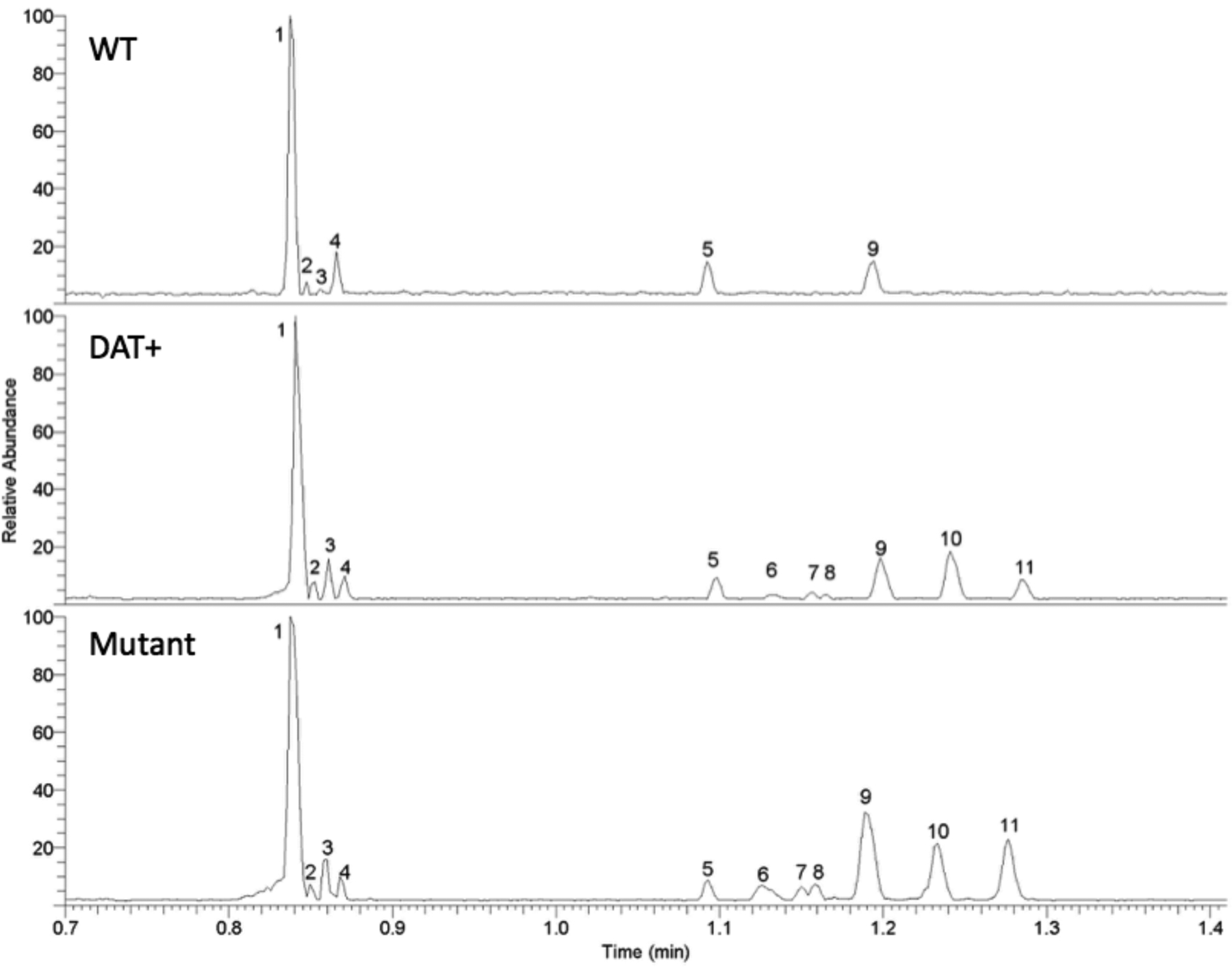 Figure 1: