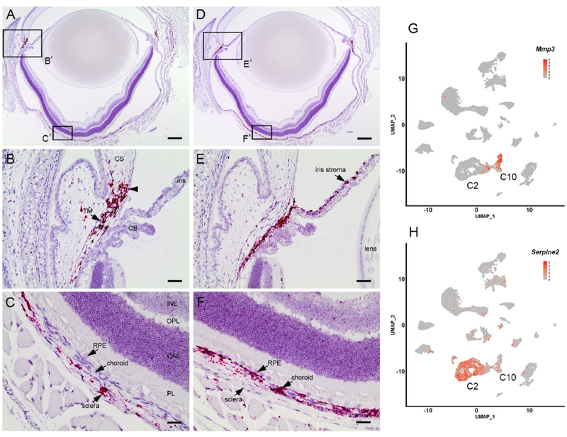 Fig. 9.