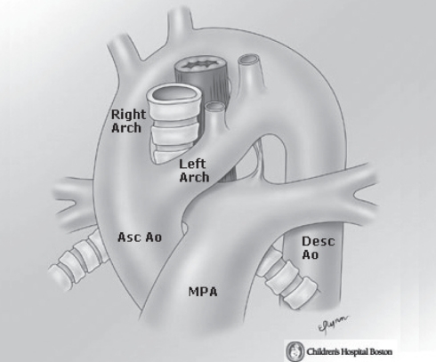 Figure 3)