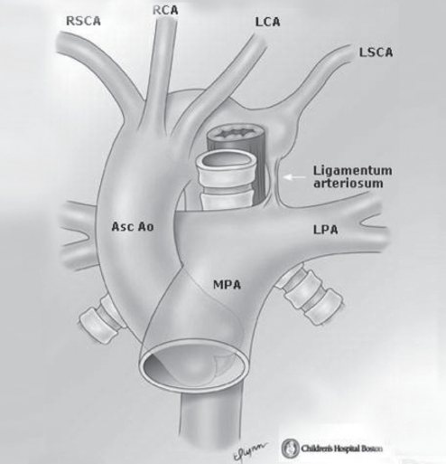 Figure 2)