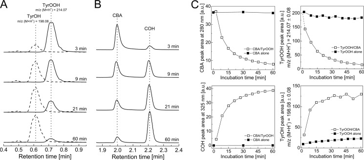 FIGURE 9.