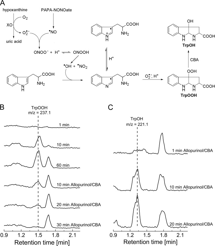 FIGURE 17.