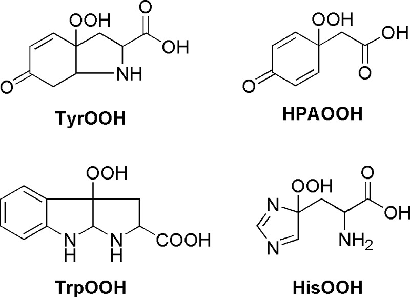 SCHEME 3.