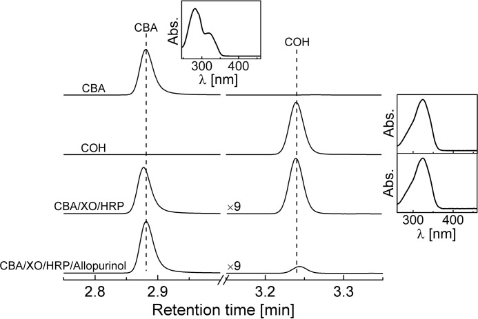 FIGURE 1.