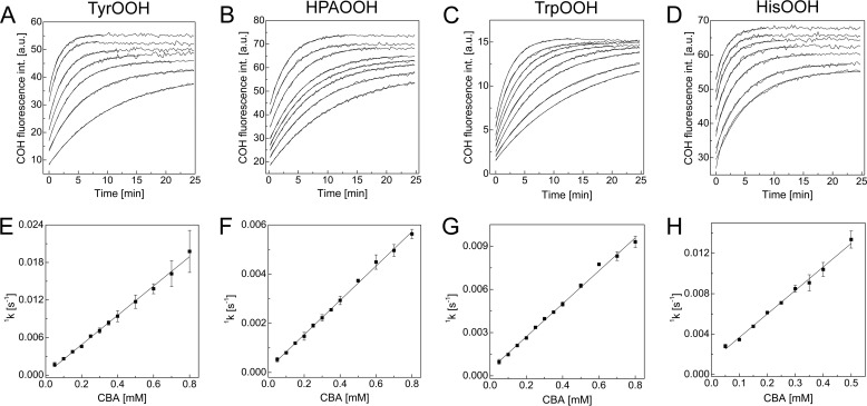 FIGURE 12.