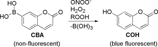 SCHEME 1.