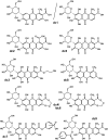 Fig. 4