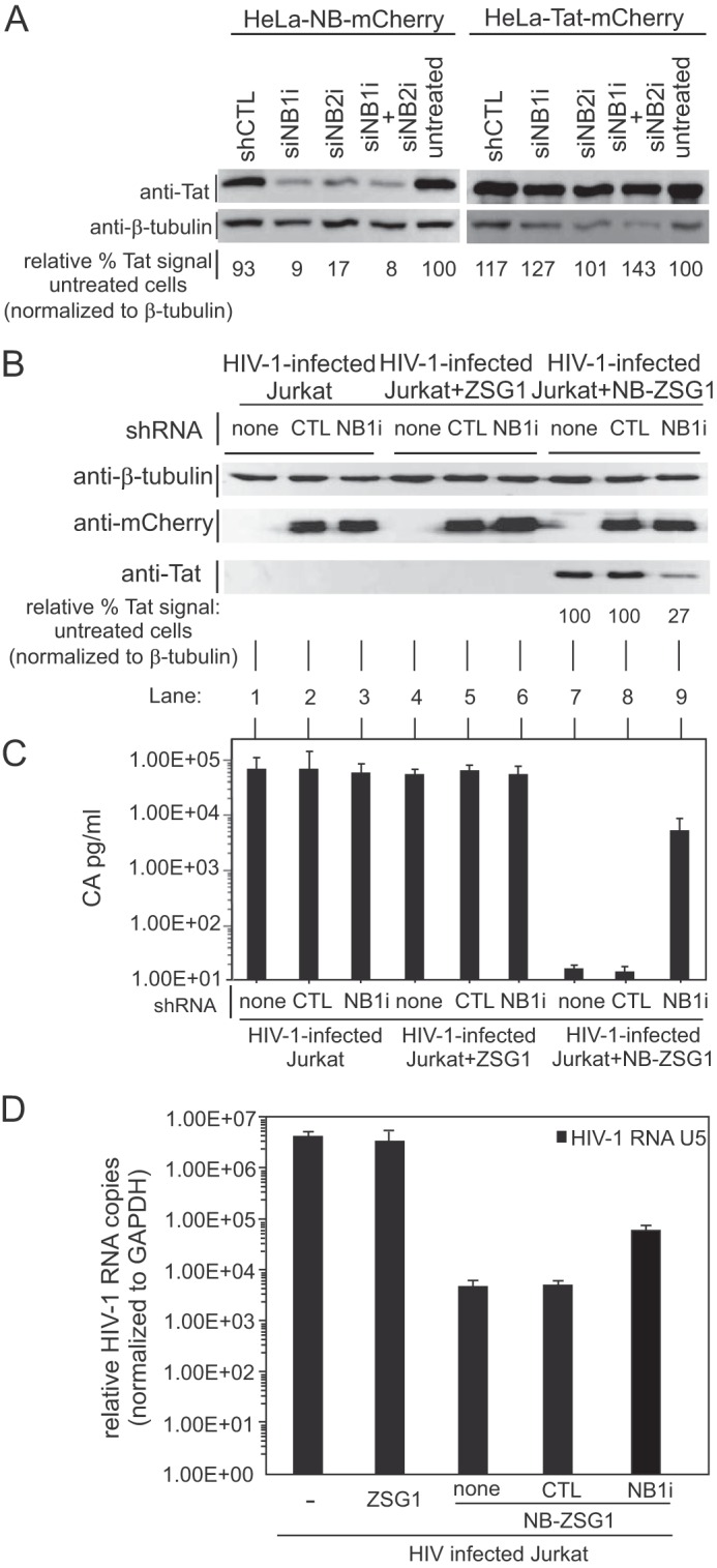 FIG 4 