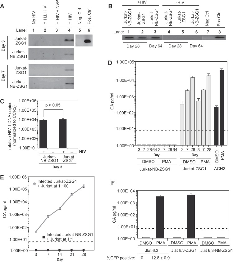 FIG 2 