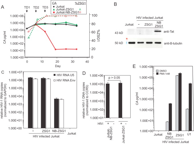 FIG 3 