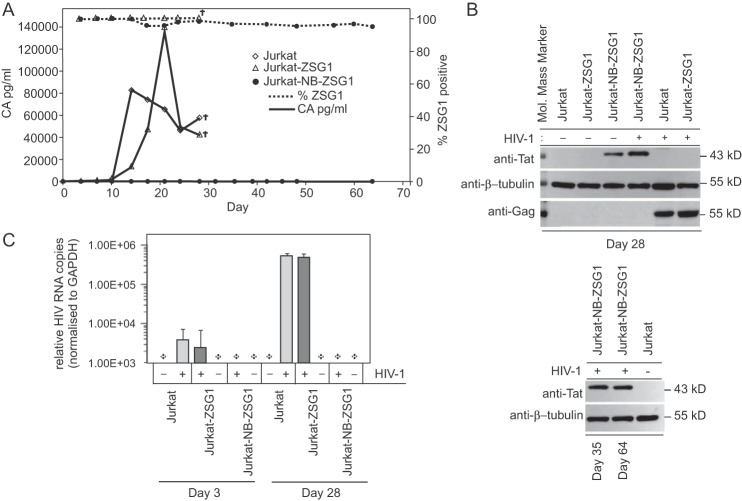 FIG 1 