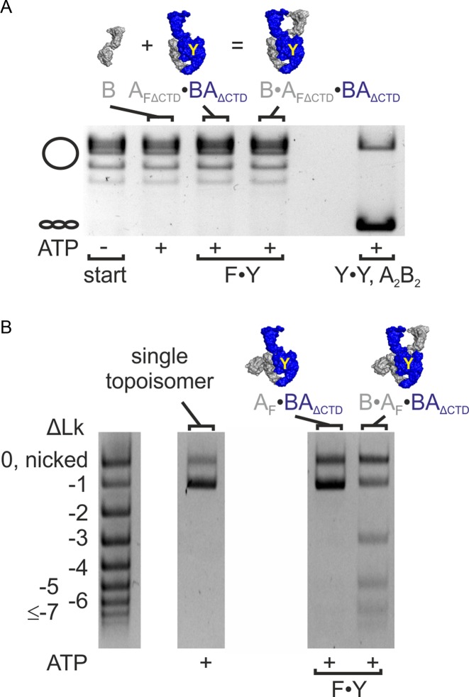 Figure 5.