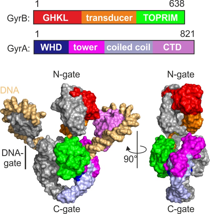 Figure 1.