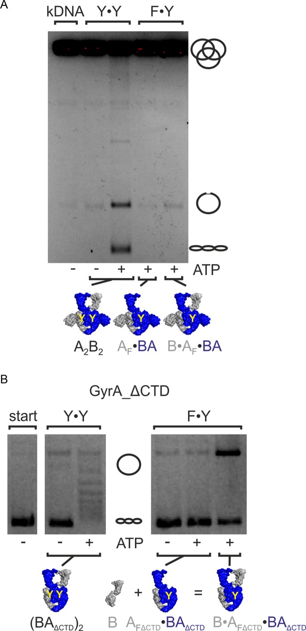 Figure 6.