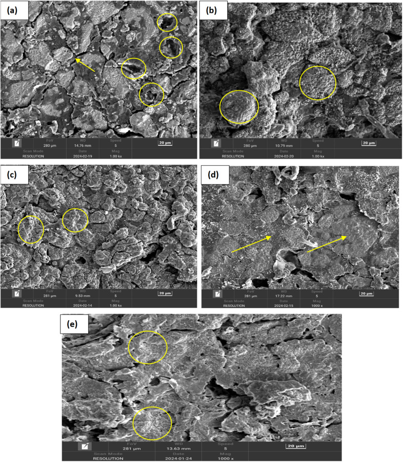 Fig. 10