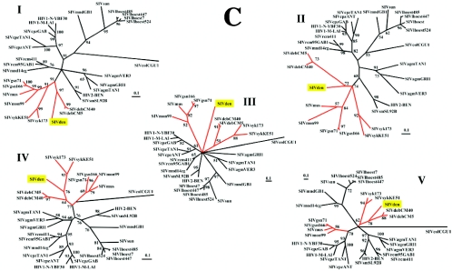 FIG. 2.