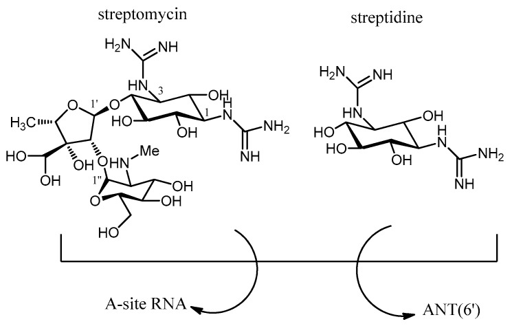 Figure 15