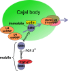 Fig. 7