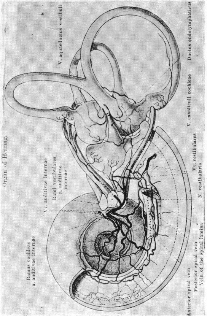 Fig. 1 B