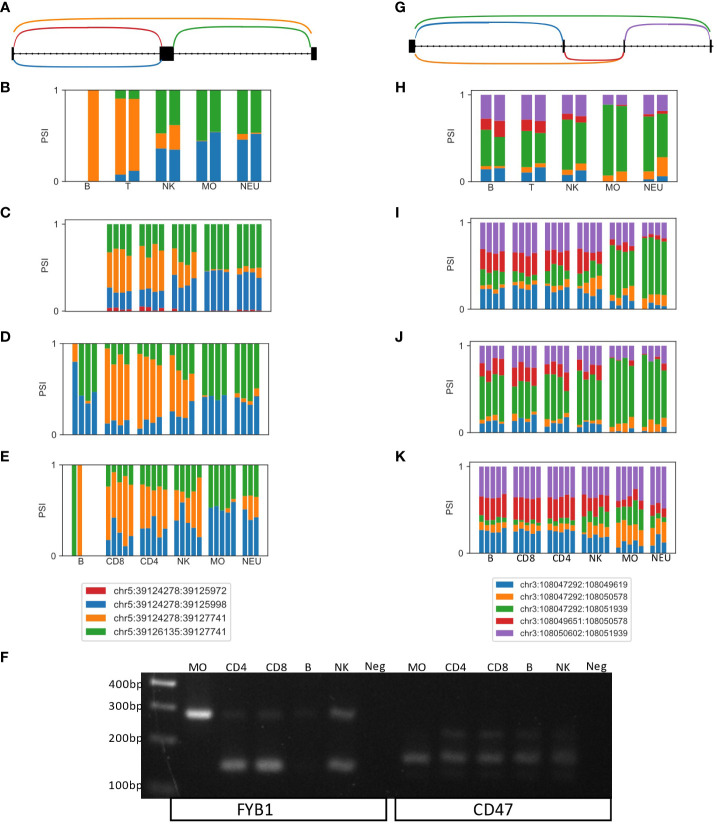 Figure 2