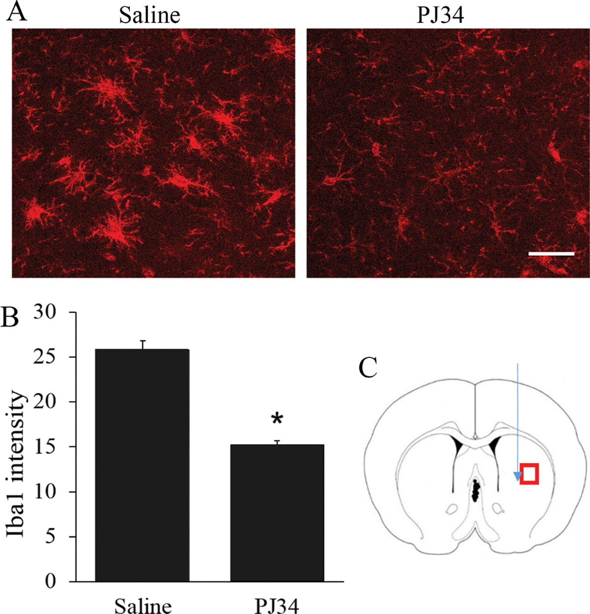 Figure 1.