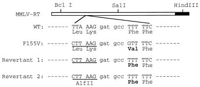 FIG. 9