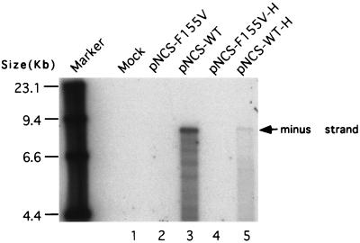 FIG. 5