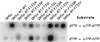FIG. 8
