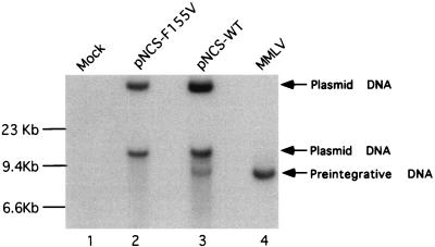 FIG. 3