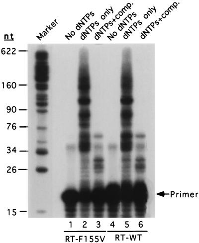 FIG. 6