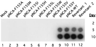 FIG. 1