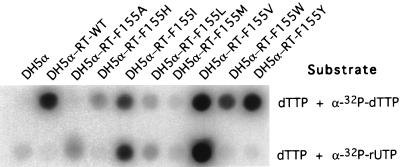 FIG. 8