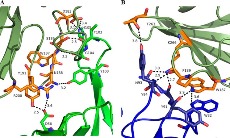 FIGURE 2.