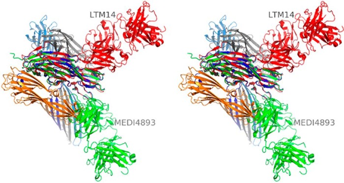 FIGURE 4.