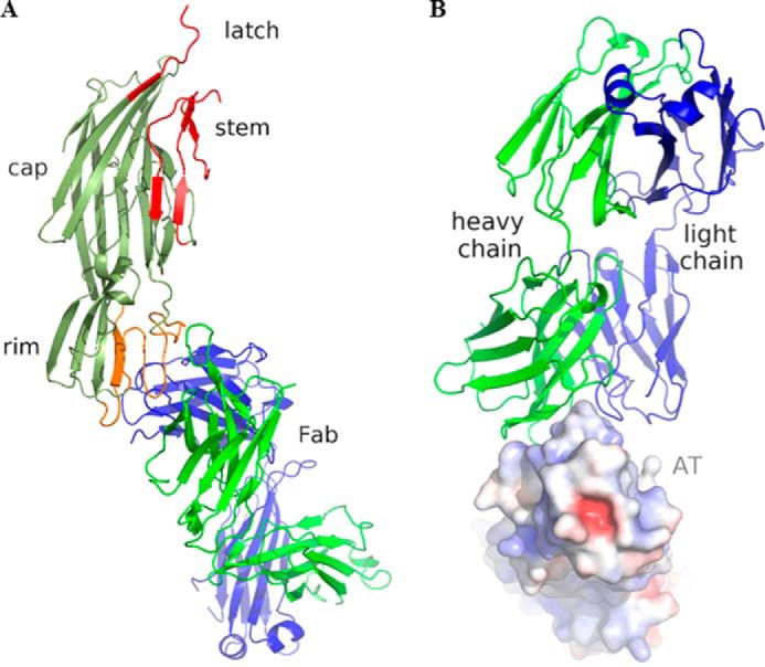 FIGURE 1.