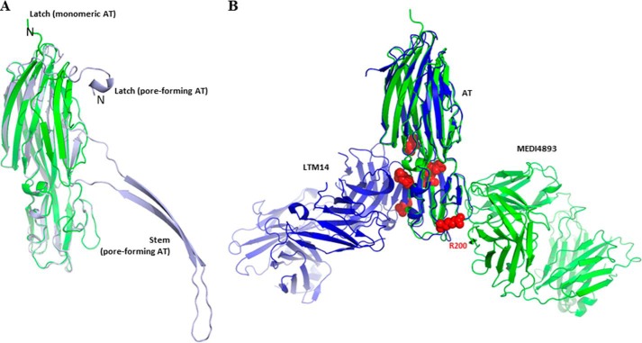 FIGURE 3.