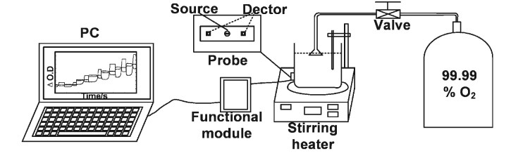 Fig. 2