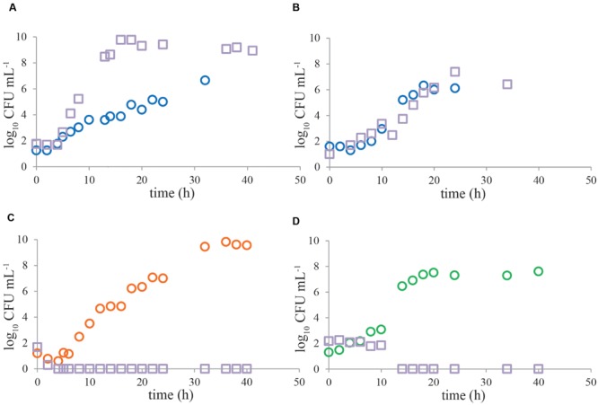 FIGURE 3