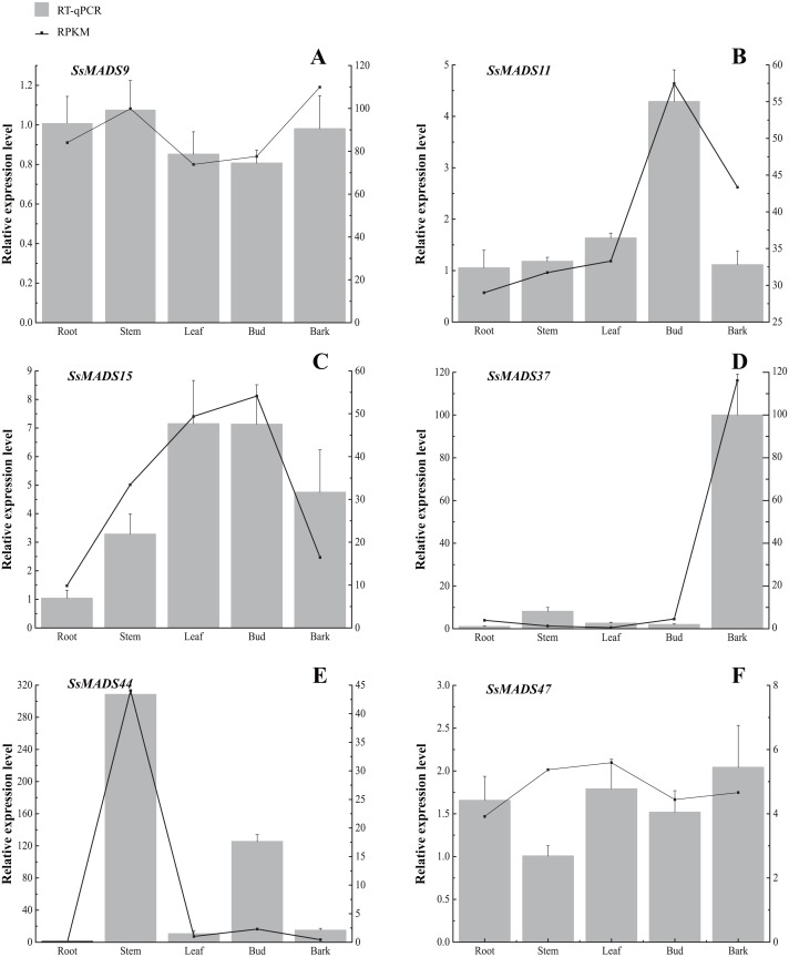 Figure 7