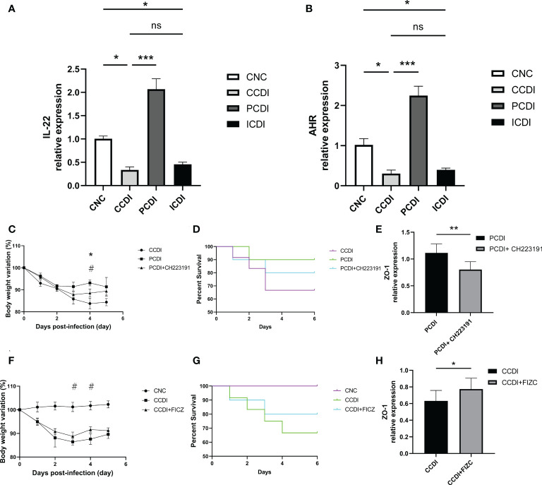 Figure 6