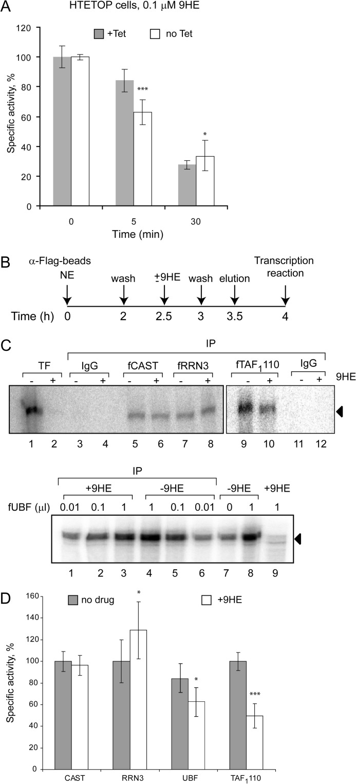 FIGURE 10.