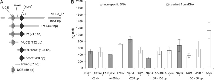 FIGURE 9.