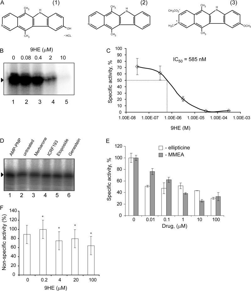 FIGURE 1.