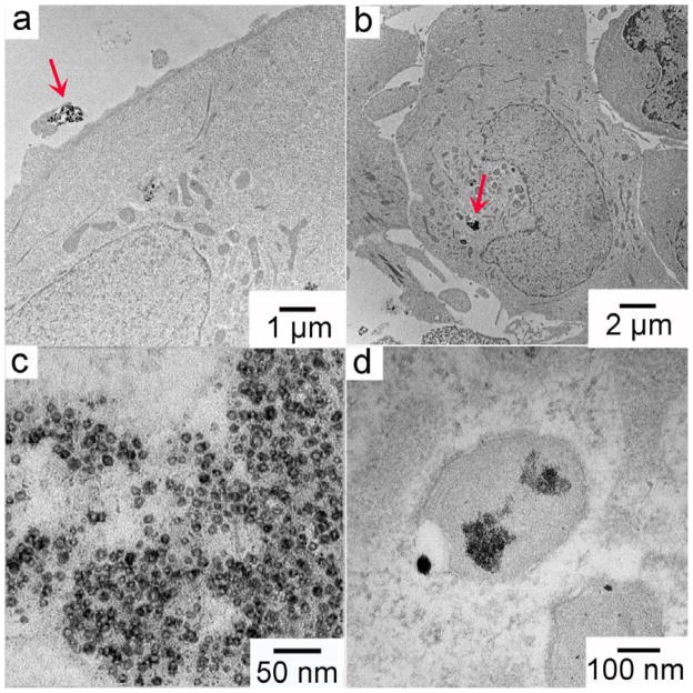 Fig. 8