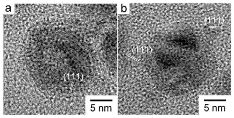 Fig. 9